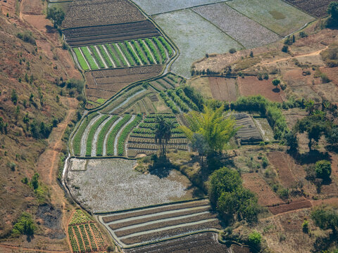 Charter flight over terraced farmlands in Madagascar showcases rich agricultural landscapes