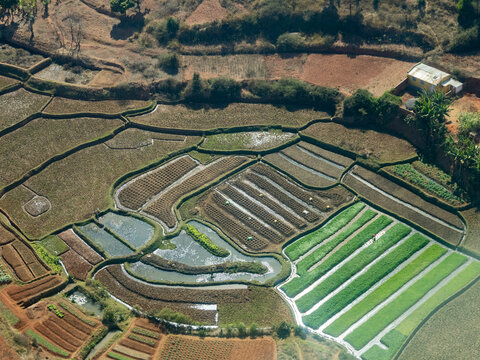 Charter flight over terraced farmlands near Isalo National Airport in Madagascar