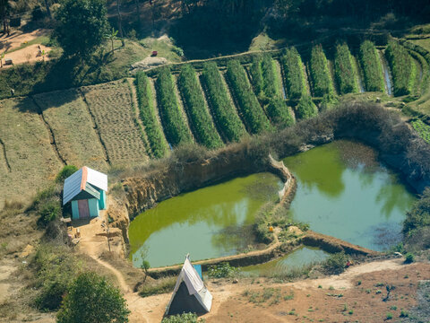 Flight over terraced farmlands in Madagascar showing crops, ponds, and rural structures