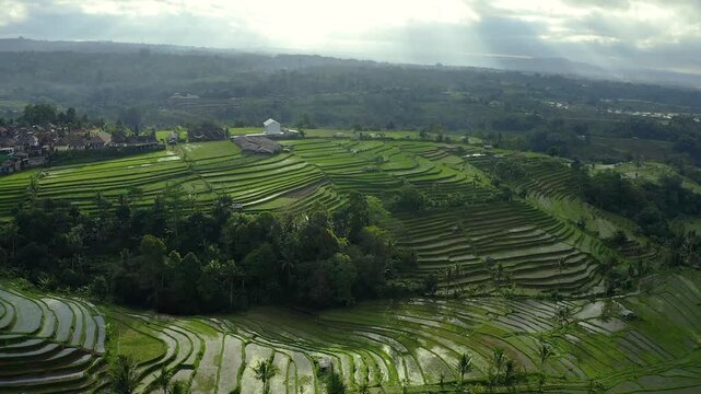 Aerial view of Jatiluwih rice terraces with lush green fields and sunbeams breaking through clouds in Penebel, Bali, Indonesia.