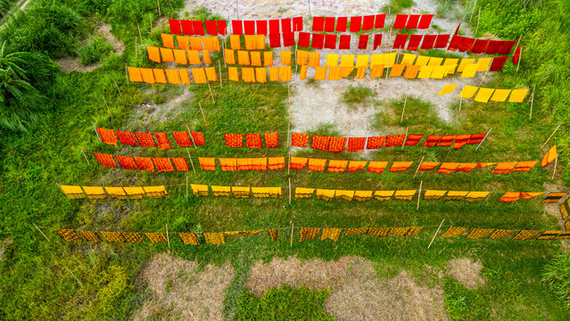 Freshly dyed cloth drying under the sun in Araihazar village in Bangladesh showcasing vibrant colors