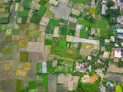 Aerial view of rice paddies surrounding an ancient Buddhist site in Bangladesh