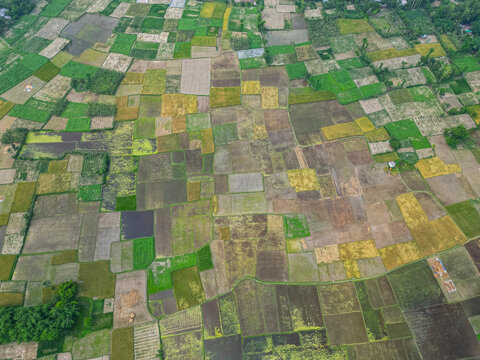 Aerial view shows rice paddies surrounding the UNESCO site Somapura Mahavihara in Bangladesh during the growth season