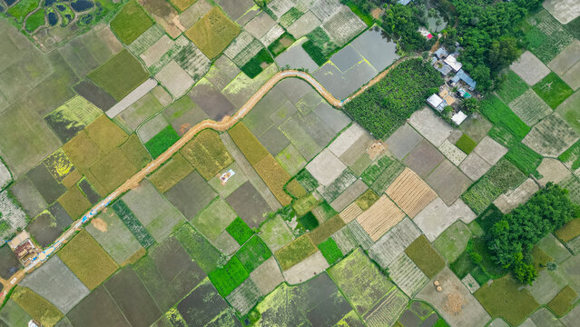 Rice paddies and fields surround historical site in Bangladesh during clear weather