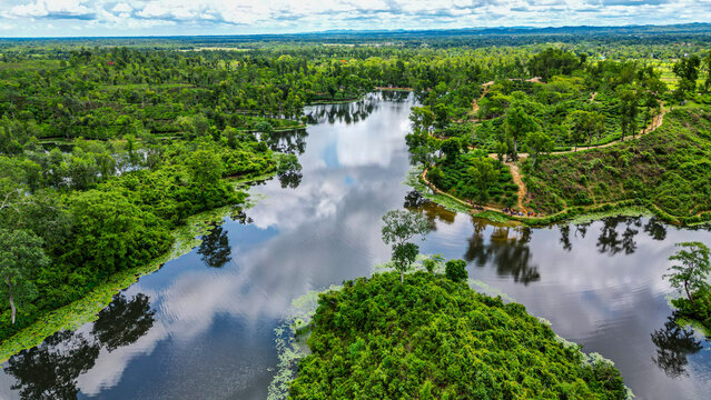 Aerial view of tea gardens and waterways in Sreemangal, Bangladesh surrounded by lush greenery and vibrant landscapes