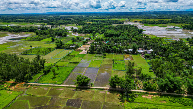 Aerial view of tea fields and greenery in Sreemangal region of Bangladesh with farms and villages visible