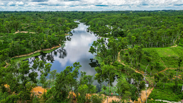 Lush green fields and a winding river in Sreemangal region of Bangladesh showcase the beauty of tea cultivation and nature