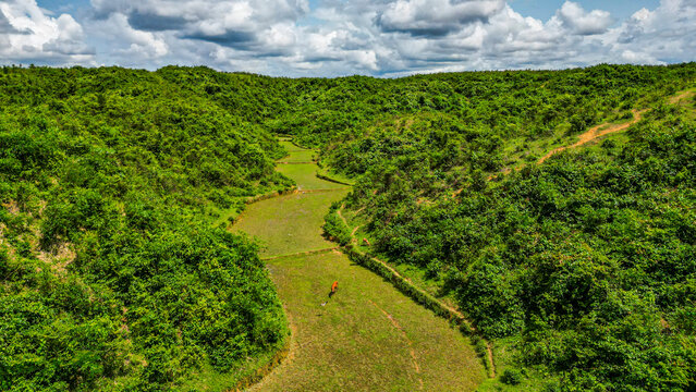 Aerial view reveals the lush green landscape of the tea region in Sreemangal, Bangladesh along with a farmer working the fields