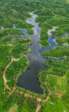 Aerial view showing the tea region landscape with water bodies and greenery in Sreemangal, Bangladesh during daytime