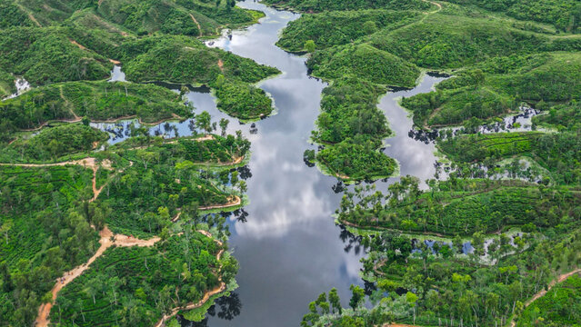 View of the Sreemangal tea region and waterway in Bangladesh creating patterns in the landscape