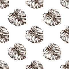 Hand drawn vintage seamless pattern with monstera tropical leaves in botanical engraving style vector illustration © Mariia Mazaeva