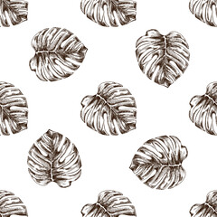 Hand drawn vintage seamless pattern with monstera tropical leaves in botanical engraving style vector illustration © Mariia Mazaeva