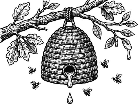 Vintage Beehive Skep Illustration with Dripping Honey and Bees on Oak Tree Branch