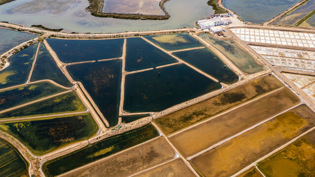 Exploring the saltpans in Tavira, Algarve, Portugal, showing the layout and water levels in different sections