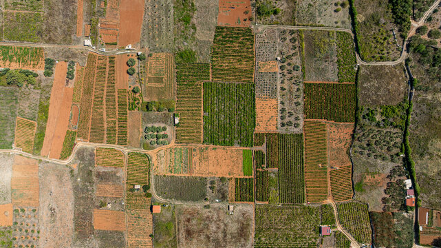 Explore Stari Grad Plain with its diverse fields and historical layout in Croatia