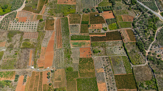 Aerial view shows the layout of agricultural fields at Stari Grad plain in Hvar Island in Croatia