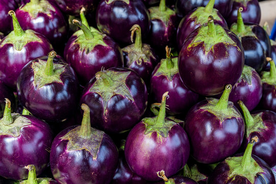 Fresh eggplants for sale at a vegetable market by the river in Dhaka, Bangladesh