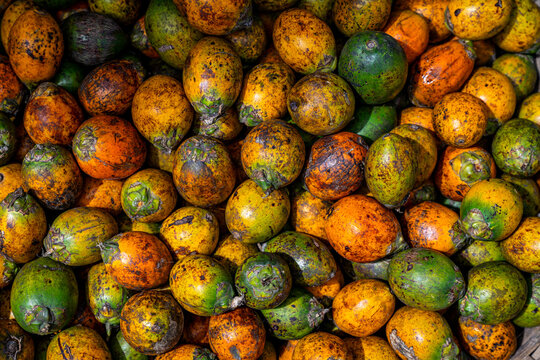 Man sells fresh passion fruits at the vegetable market by the river in Dhaka, Bangladesh