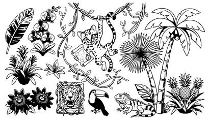 Jungle monkey banana palm vector tropical cartoon illustration © MstLiza