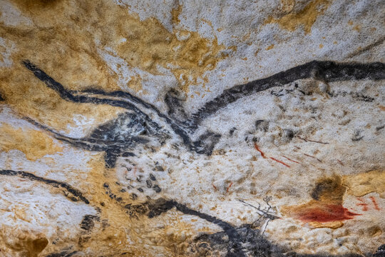 Exploring the prehistoric art found in Lascaux caves shows ancient human creativity in cave paintings located in France