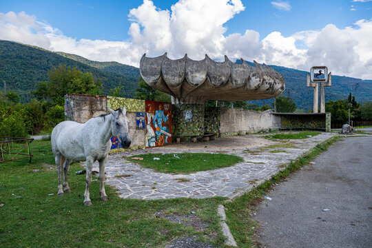 Horse stands by old bus stop with mosaics in Gagra, showcasing abandoned travel site near mountains