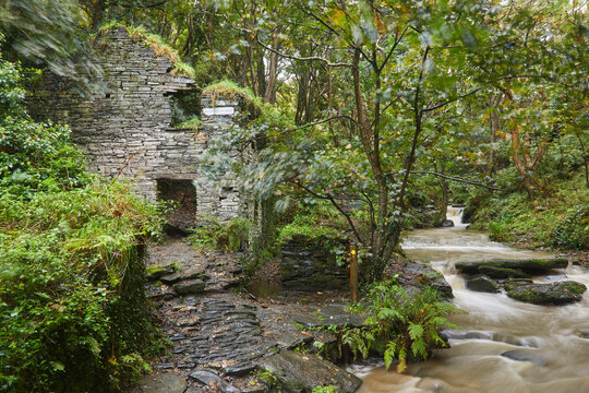 Small stream flows by stone ruin in summer woodland near Boscastle in Cornwall, Great Britain