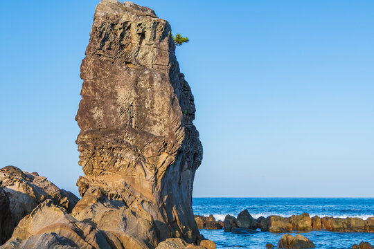Massive Strange Rock Formation with a Lone Pine Tree on the Coast of Suzushima, Shingu, Wakayama. Unique Honeycomb Weathering Geological Landscape by the Pacific Ocean in Japan.