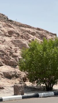 Explore ancient cave dwellings and traditional mudbrick architecture carved into a rugged mountain landscape along a modern roadside.