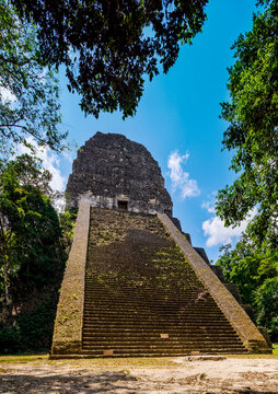 Majestic steps of Temple V at Tikal rising toward the sky under a bright blue backdrop in Guatemala