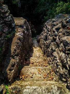 Steps leading down from the ruins of Group A at Uaxactun Archaeological Site in Peten Guatemala