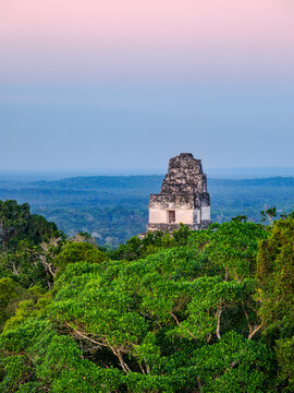 View of Temple I at dusk with jungle scenery in background in Tikal, Guatemala