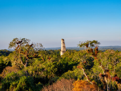 Sunset view of Temple III from elevated position, showcasing Tikal in Peten, Guatemala