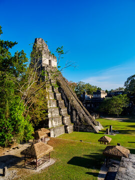 View of Temple I in the Great Plaza at Tikal with surrounding structures and greenery in Peten, Guatemala during daylight hours