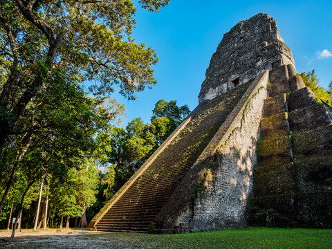 Historic structure of Temple V in Tikal surrounded by lush trees in Guatemala