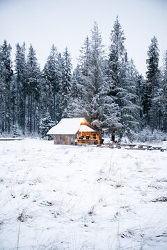Wooden house stands in snow with fir trees around it on a winter day in Poland