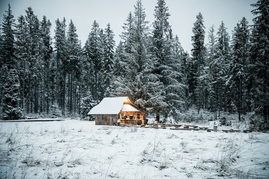 Winter scene of wooden house surrounded by snow-covered fir trees in Poland