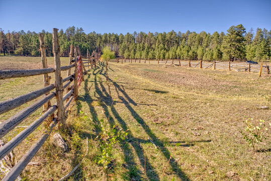 Old cattle corral at the bottom of dry Murrays Lake in Kaibab National Forest of Arizona with shadows cast by the fence