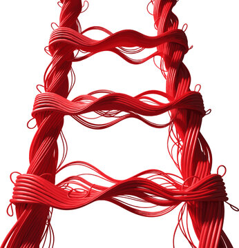 Create a realistic Red ladder vector art with white background..