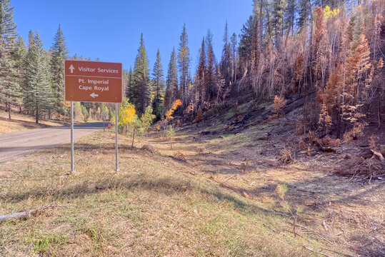 Cape Royal Road turnoff shows effects of Dragon Bravo Wildfire at Grand Canyon North Rim in Arizona during the aftermath of a natural disaster