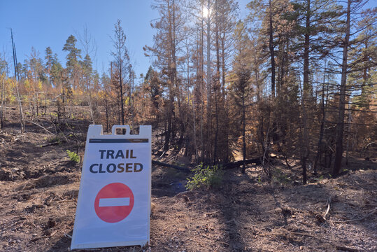 Trail closed sign shown along Cape Royal Road at Grand Canyon North Rim due to damage from Dragon Bravo Wildfire in 2025