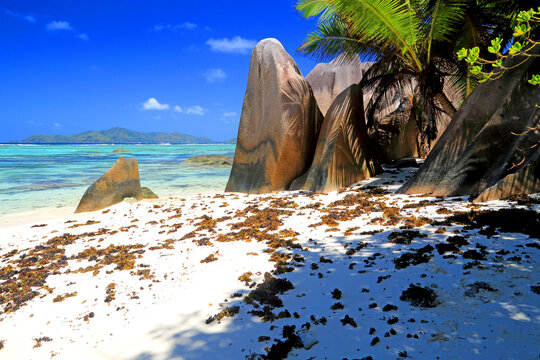 Large rocks and white sand under palm trees at a beach on La Digue, Seychelles with blue sky and clear water nearby