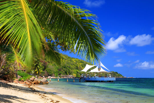 Clear water and sandy beach at Coco de Mer resort on Praslin Island during a bright sunny day