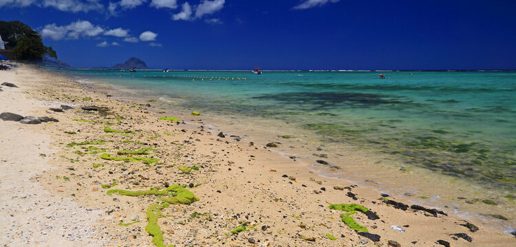 View of Le Morne from the beach at Flic en Flac in Mauritius on a clear sunny day with turquoise water and blue sky