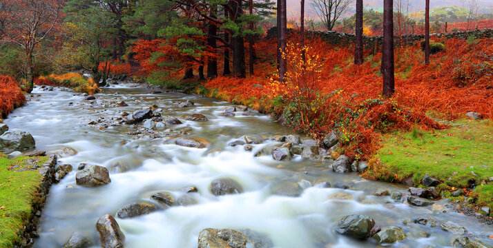 Mountain river flows through autumn colors near Wastwater Lakeside in Western Lake District, Cumbria, UK