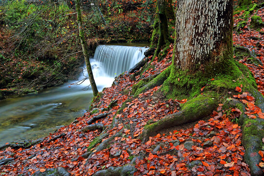 Water flowing over rocks at Stock Ghyll Force in Ambleside, Lake District, with autumn leaves on the ground