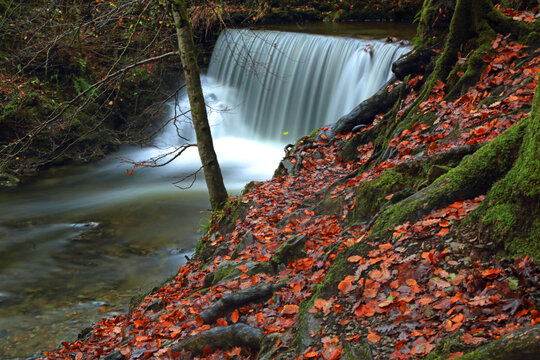 Water flows over rocks at Stock Ghyll Force in the Lake District during autumn in the UK with fallen leaves around the scene