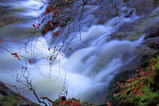Water flows and autumn leaves near Stock Ghyll Force in Ambleside, Lake District, Cumbria, UK