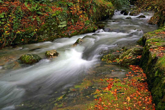Stream flows through Buttermere village in Cumbria, Lake District with green moss and fallen leaves along the banks