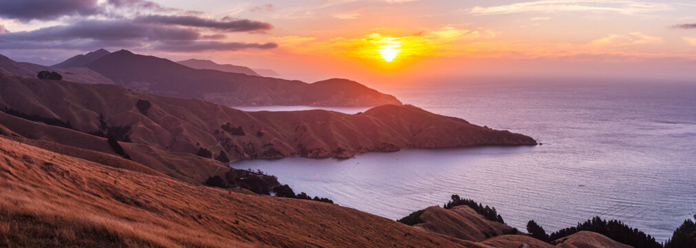 Vibrant sunset over rugged coastline and golden hills in Marlborough Sounds region of South Island New Zealand