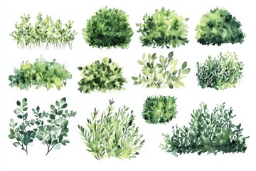 Naklejka premium Collection of watercolor green bushes and shrubs for garden design and decoration ideas for various projects